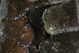 Septarian Dragon Egg Geode - Black Crystals #98873-1